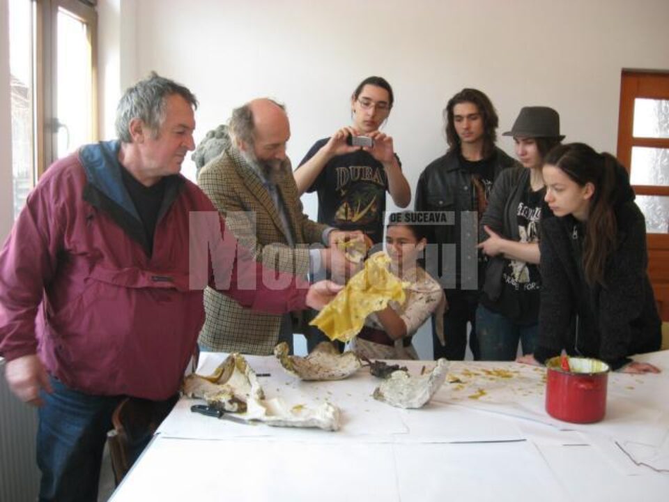 Lecție demonstrativă la Centrul Artistic de la Mihoveni