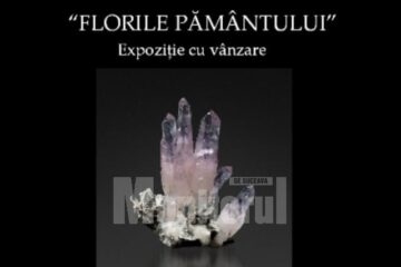 “Florile pământului”, la Muzeul de Științele Naturii Suceava