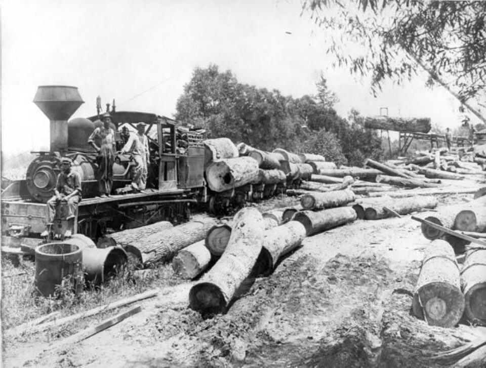 „Fabrica de cherestea Frasin” „Fabrica de cherestea Frasin”