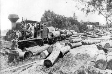 „Fabrica de cherestea Frasin”