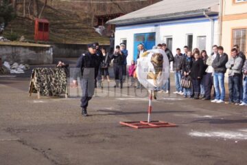 Prestația câinilor a încântat publicul