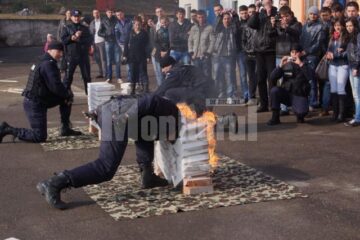 Demonstrație de forță și măiestrie a jandarmilor