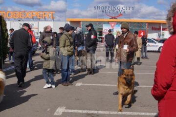 În cele două zile, prin fața arbitrilor au trecut 54 de rase de câini