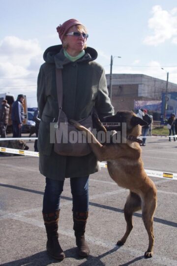 În cele două zile, prin fața arbitrilor au trecut 54 de rase de câini