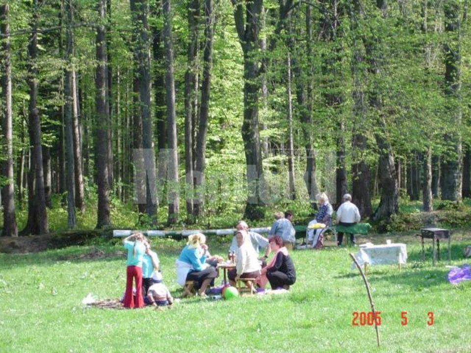 Amatorii de distracție la iarbă verde trebuie să respecte o serie de reguli Amatorii de distracție la iarbă verde trebuie să respecte o serie de reguli