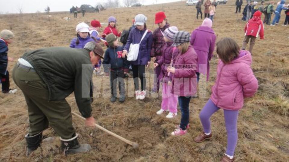 Mii de puieți de salcâm au fost plantați pe aproape un hectar de teren degradat la Voitinel