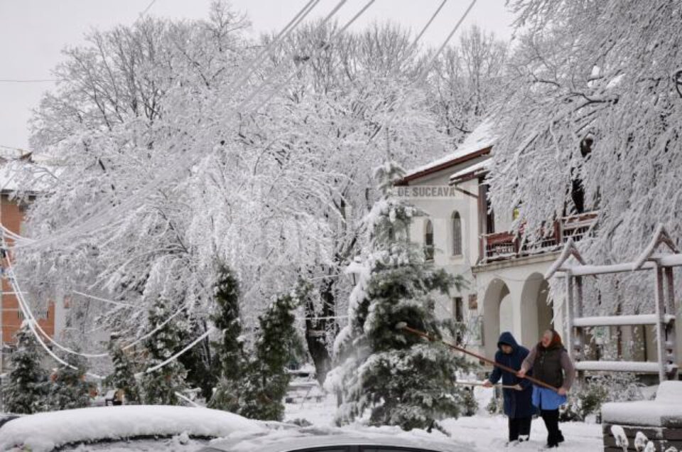 Printre cei care au ieșit la scuturatul copacilor s-a numărat și Neculai Barbă