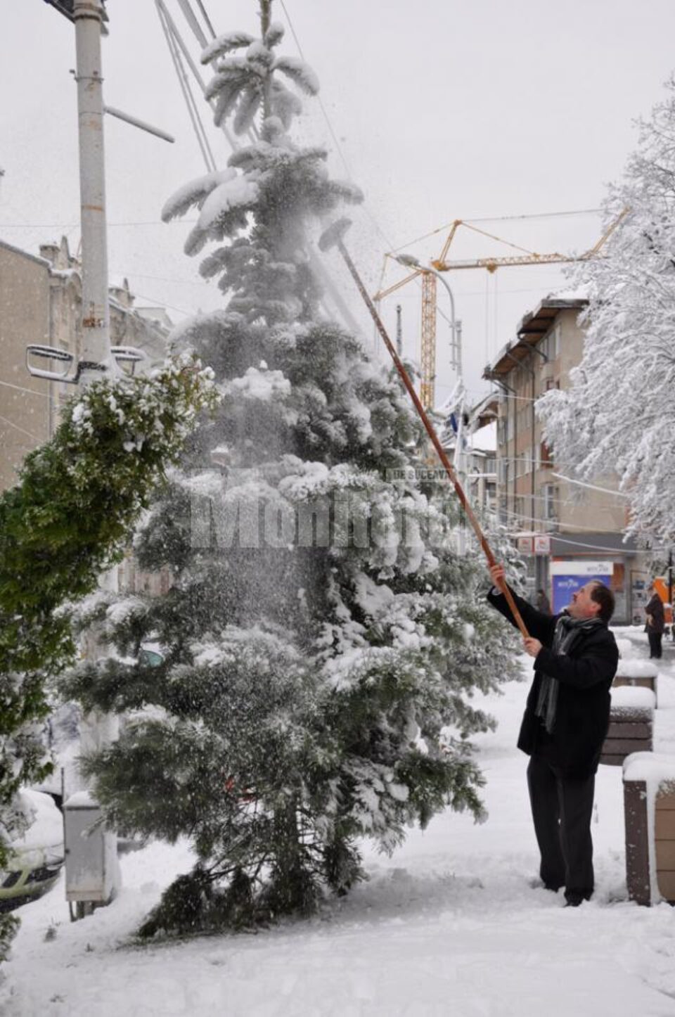 Printre cei care au ieșit la scuturatul copacilor s-a numărat și Neculai Barbă