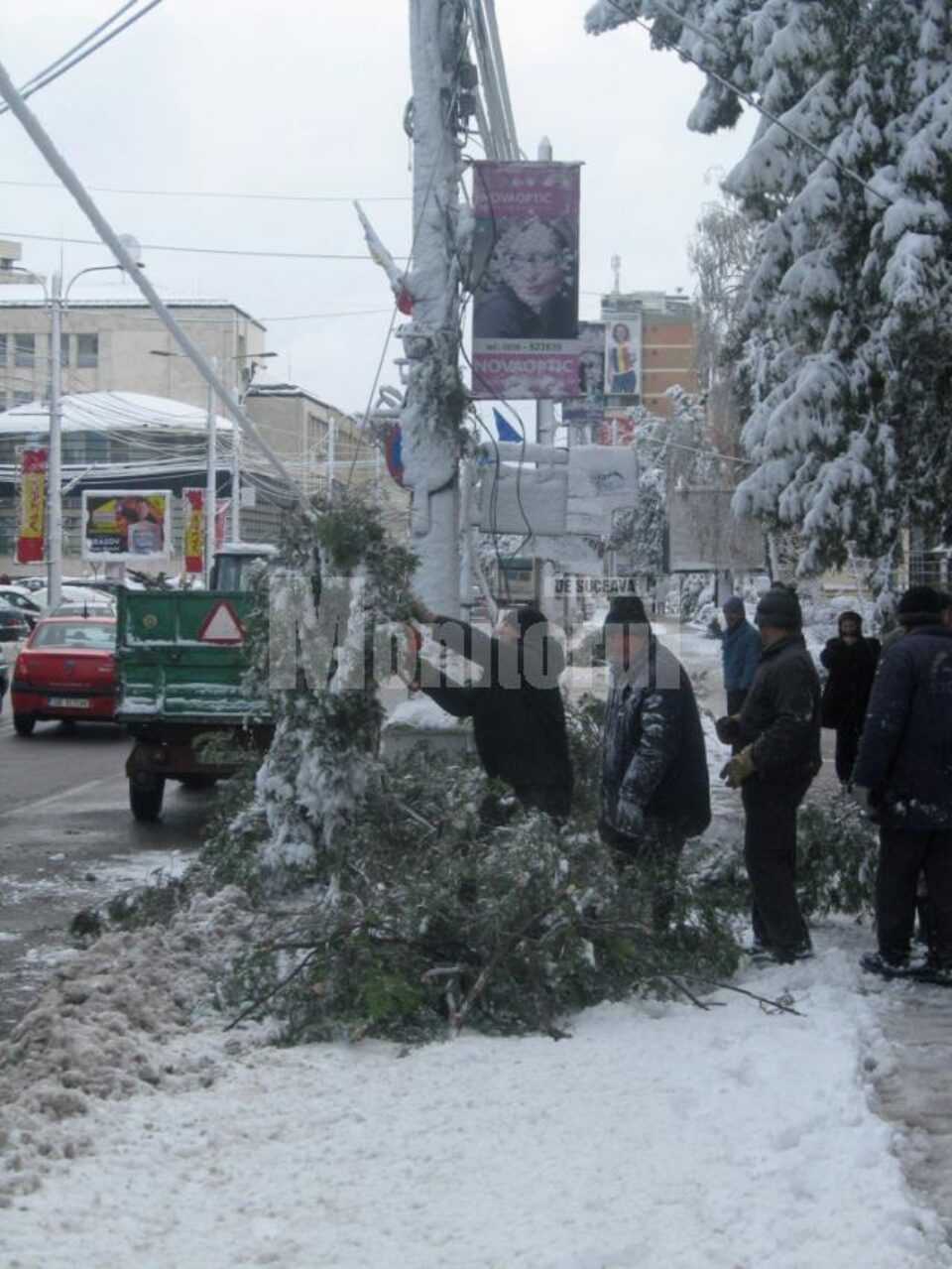Intervenții de îndepărtare a arborilor rupți de greutatea zăpezii