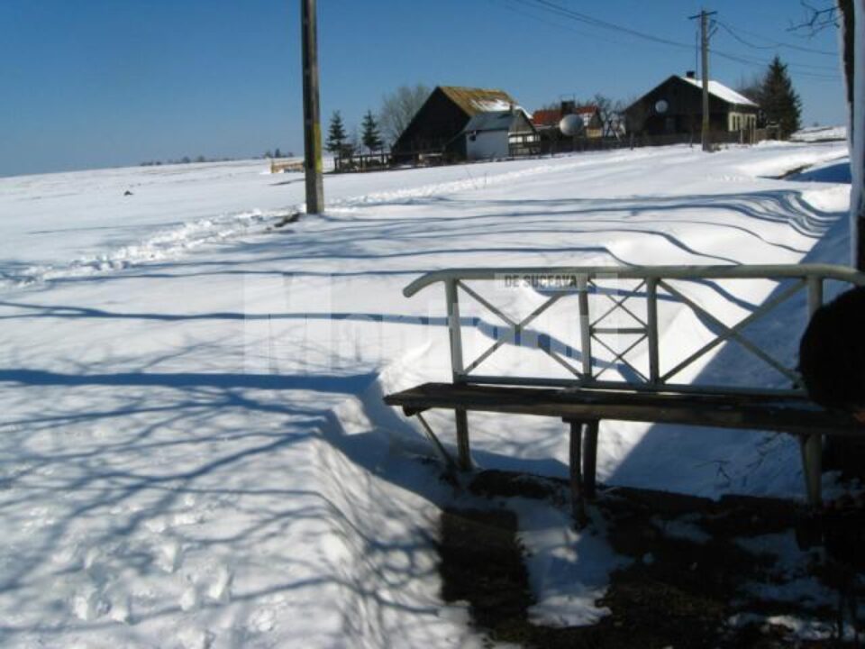 Drumul spre satul Vicșani, acoperit de un strat de zăpadă de aproape un metru