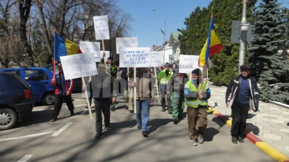 Angajați ai SC Servicii Comunale au protestat ieri în fața Primăriei Rădăuți