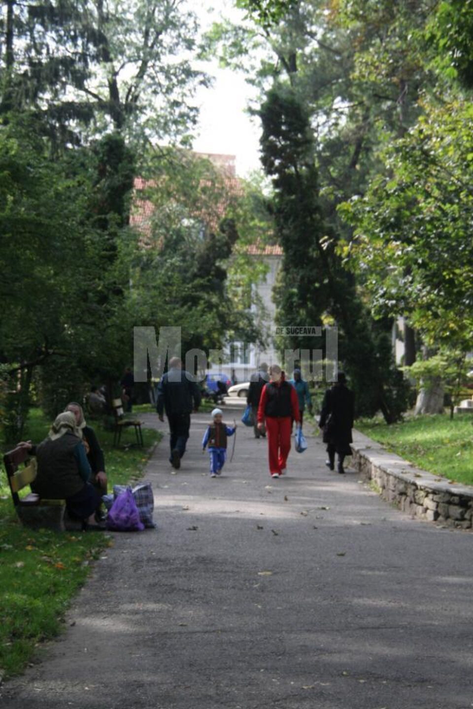 Parcul din centrul Sucevei