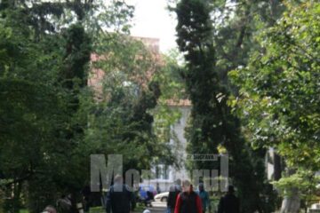 Parcul din centrul Sucevei