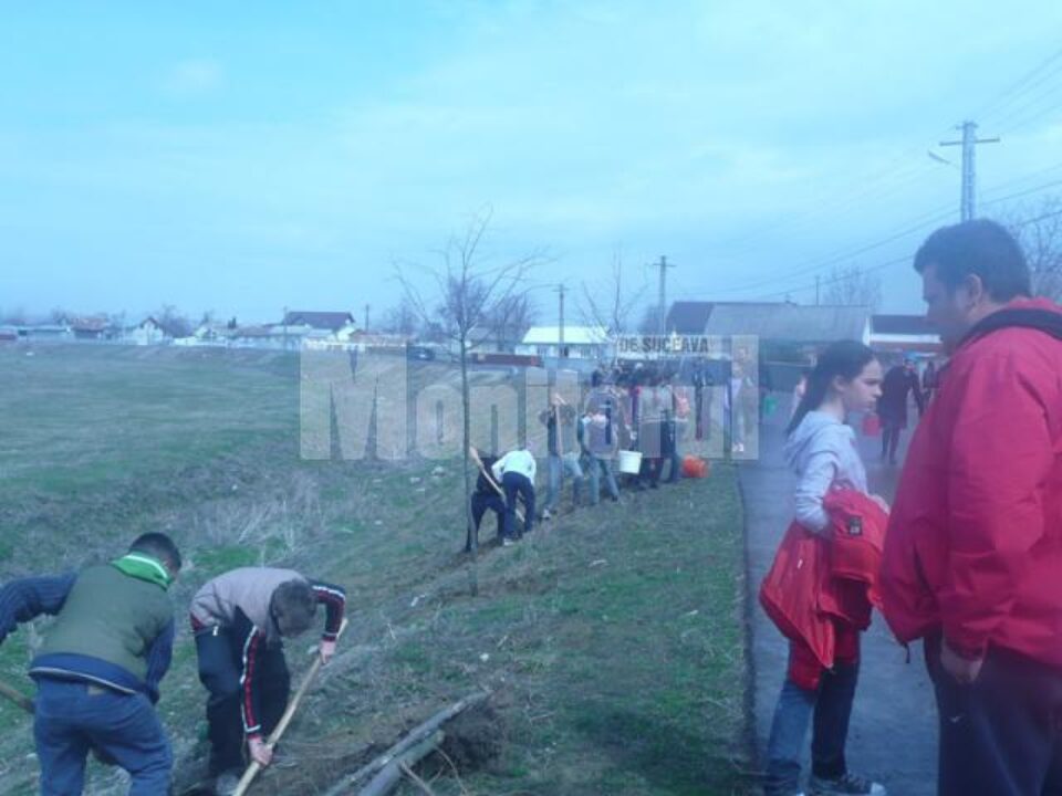 În luna pădurii, prindem rădăcini