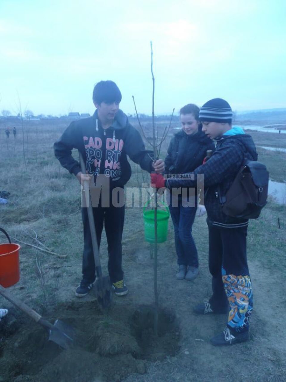 În luna pădurii, prindem rădăcini