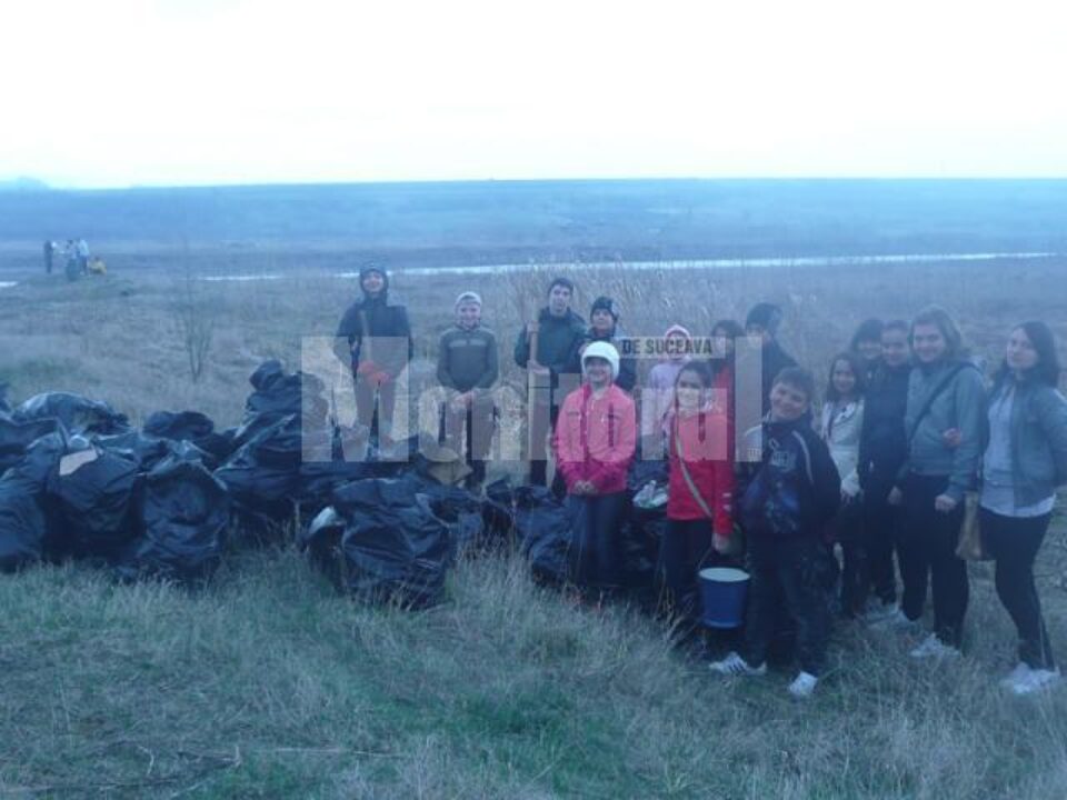 În luna pădurii, prindem rădăcini