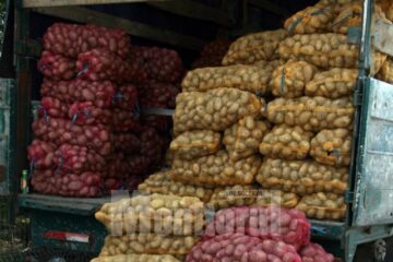 Cartofi și ceapă de Milișăuți