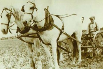 „Au dosit utilaj agricol”