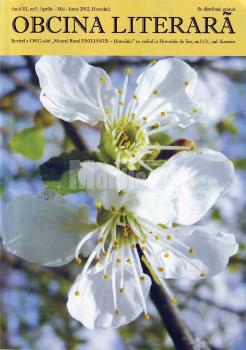 Revista „Obcina literară”