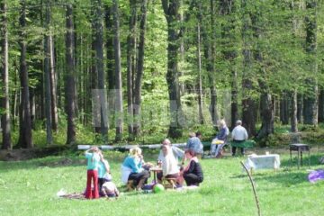 Mersul la picnic, una din principalele modalități de petrecere a timpului liber