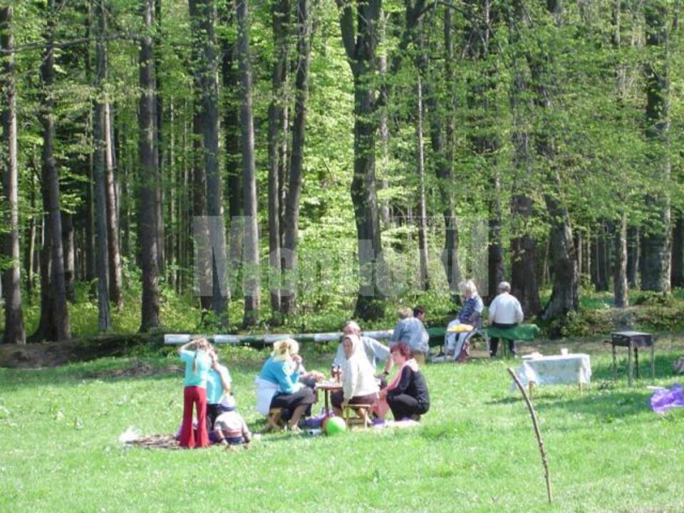 Mersul la picnic, una din principalele modalități de petrecere a timpului liber Mersul la picnic, una din principalele modalități de petrecere a timpului liber