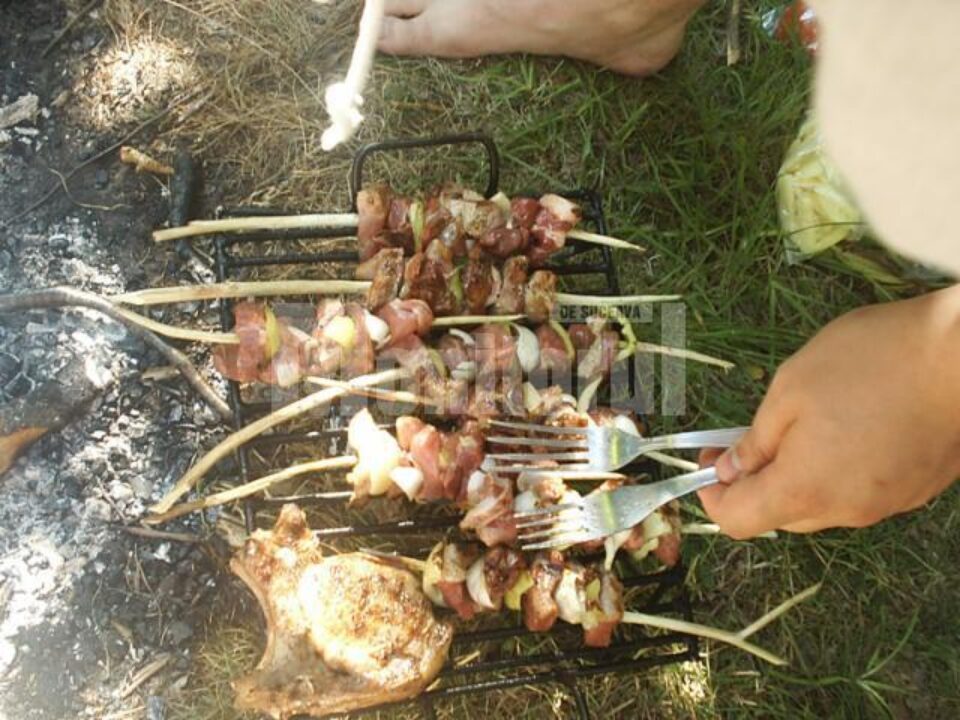 Misiunea controalelor comisarilor de mediu nu va fi cea de a da amenzi, ci una de prevenire Misiunea controalelor comisarilor de mediu nu va fi cea de a da amenzi, ci una de prevenire