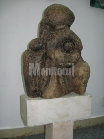 Secvență din expoziție