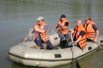 Un echipaj de pompieri a intervenit cu o barcă pneumatică pentru a salva câinele