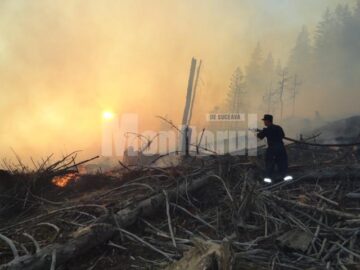 Aproape 400 de persoane au muncit de duminică după-amiază până luni seară, pentru stingerea incendiului