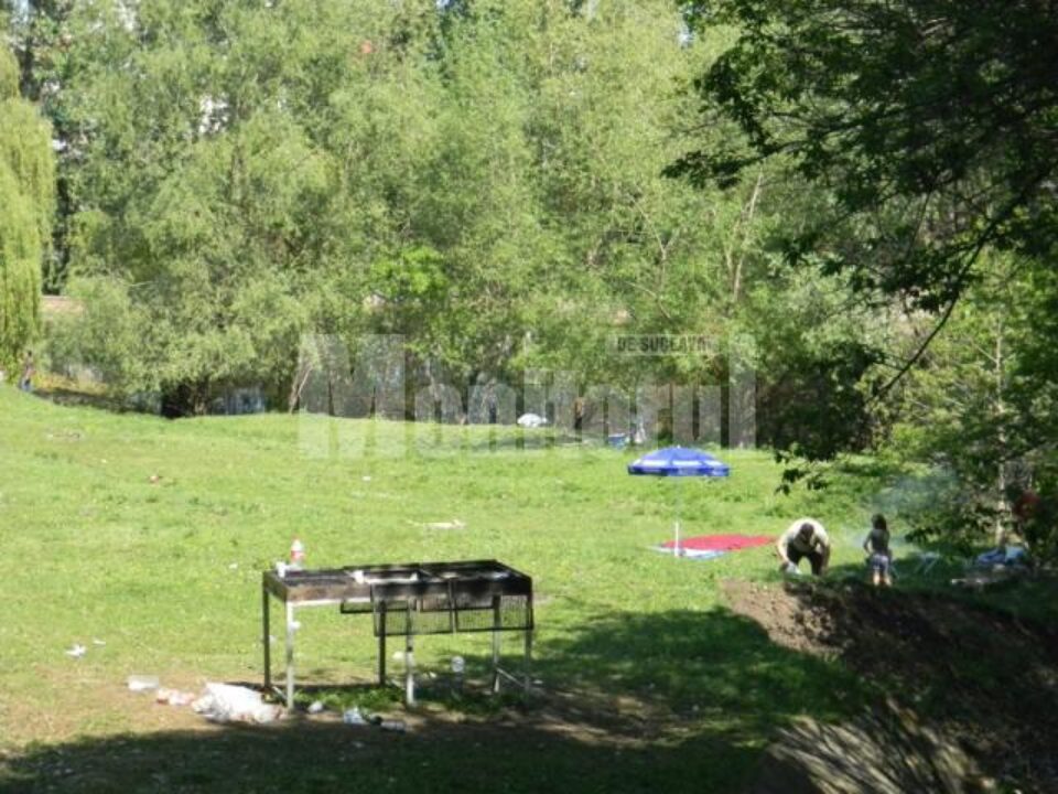 Grătarul a fost lăsat plin de gunoaie