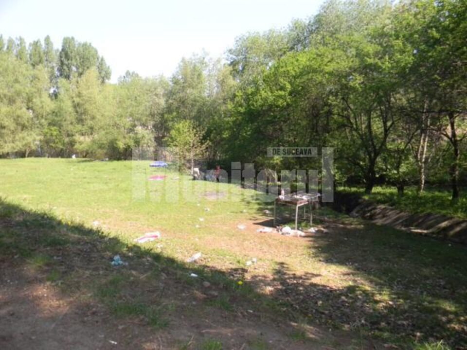 Pungi, pet-uri și resturi, aruncate peste tot