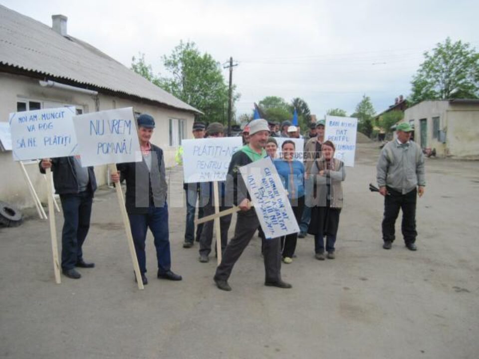 Manifestanții au fost flancați de mai bine de 20 de polițiști și jandarmi