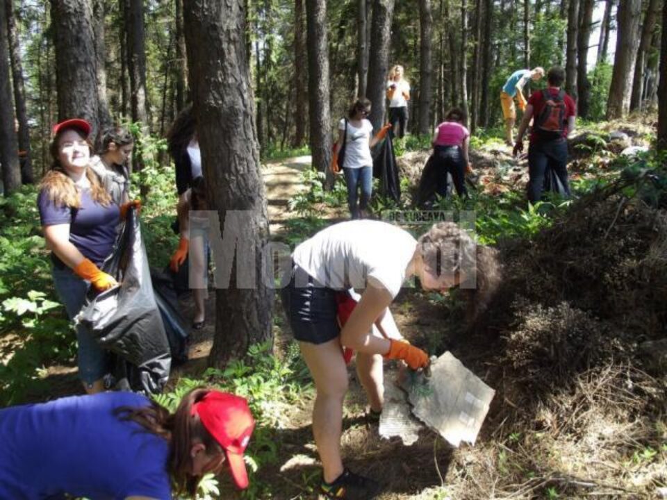Voluntari de la „Salvați Copiii” Suceava, la strâns gunoaie în pădurea Zamca