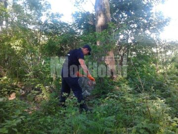 Jandarmii s-au implicat și ei în activitatea de ecologizare