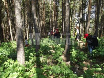 Voluntari de la „Salvați Copiii” Suceava, la strâns gunoaie în pădurea Zamca