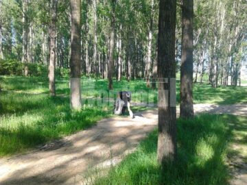 Jandarmii s-au implicat și ei în activitatea de ecologizare