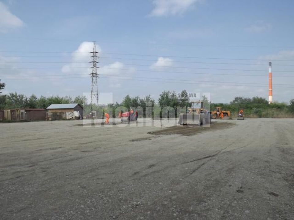 Platforma care va găzdui 1500 de câini de pe străzi este aproape finalizată