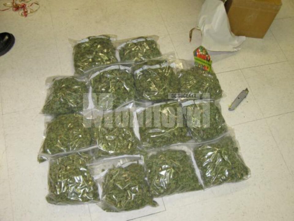 Gruparea din care făcea parte tânărul humorean se ocupa cu procurare și comercializarea drogurilor de risc Gruparea din care făcea parte tânărul humorean se ocupa cu procurare și comercializarea drogurilor de risc