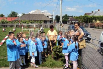 Copiii de la Grădinița „Lizuca” Fălticeni au participat la acțiunea Ziua Eno – Plantare de copaci