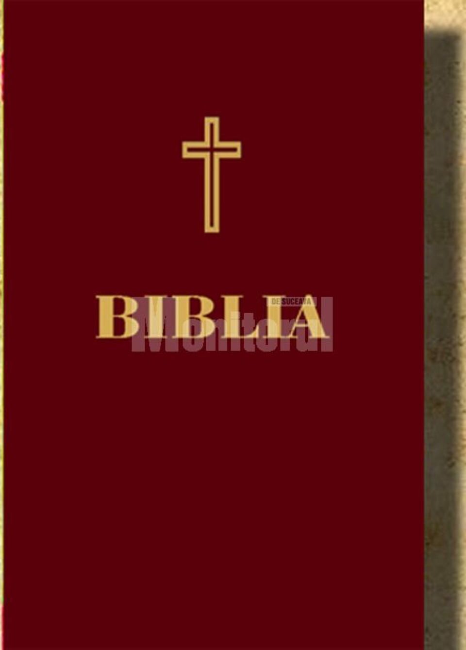 Fotbaliștii de la Rapid au fost puși să jure pe biblie că și-au apărat șansele corect în meciul cu Politehnica Galați