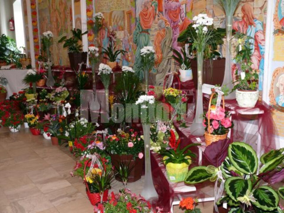 Expoziție flori