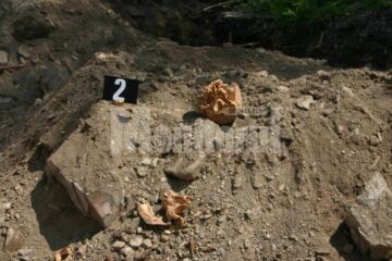 Prin determinări genetice, antropologice și medico-legale a osemintelor descoperite va fi identificată persoana decedată și stabilite felul și cauza morții Prin determinări genetice, antropologice și medico-legale a osemintelor descoperite va fi identificată persoana decedată și stabilite felul și cauza morții