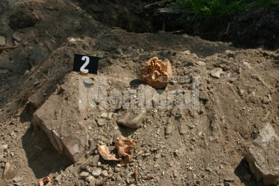 Prin determinări genetice, antropologice și medico-legale a osemintelor descoperite va fi identificată persoana decedată și stabilite felul și cauza morții