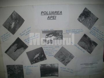 Actiuni eco la Colegiul Dragoș Vodă din Câmpulung Moldovenesc