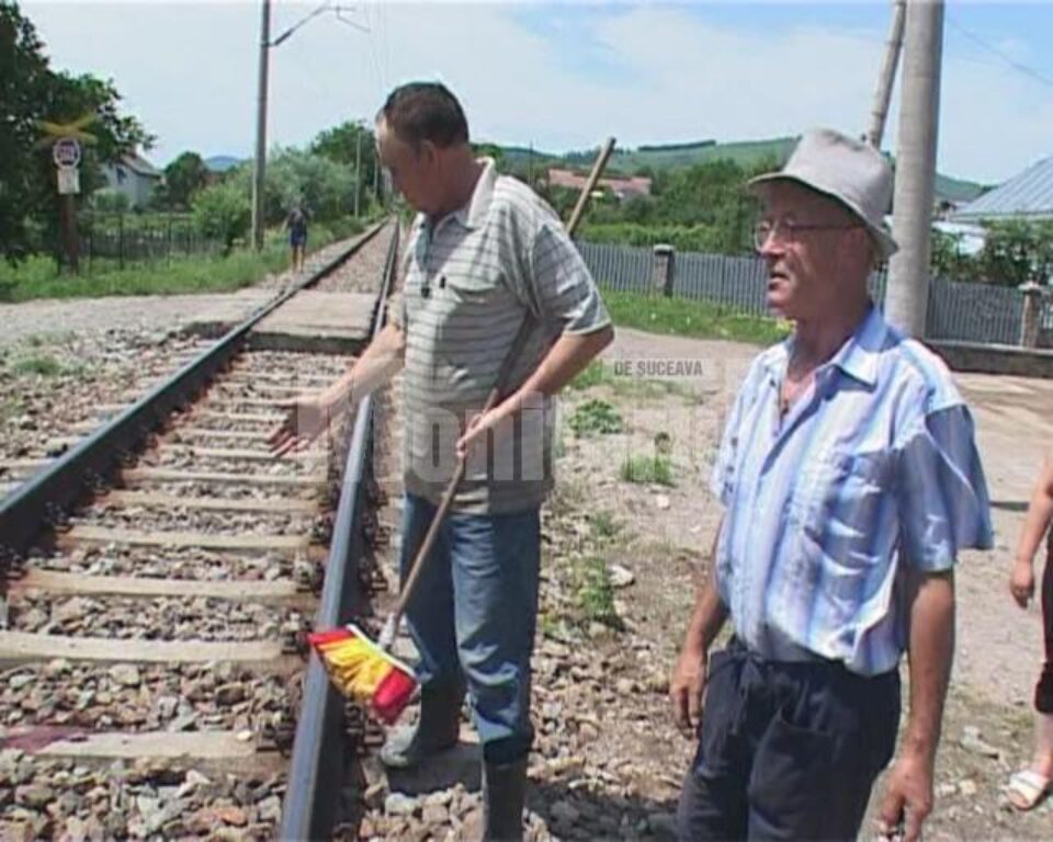 Fata a fost văzută de mai mulți vecini mergând pe lângă calea ferată, iar la apropierea trenului a pășit brusc pe linie