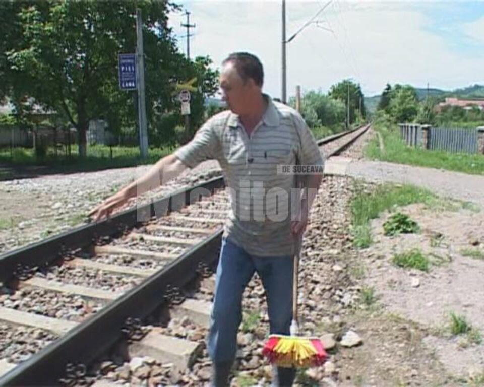 Fata a fost văzută de mai mulți vecini mergând pe lângă calea ferată, iar la apropierea trenului a pășit brusc pe linie Fata a fost văzută de mai mulți vecini mergând pe lângă calea ferată, iar la apropierea trenului a pășit brusc pe linie