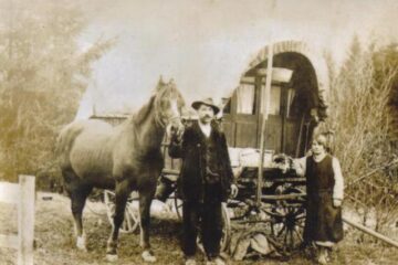 „Țiganii din Bucovina”