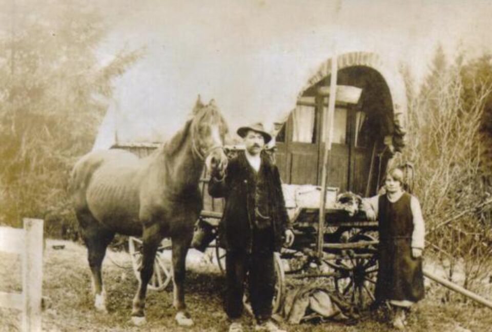 „Țiganii din Bucovina”