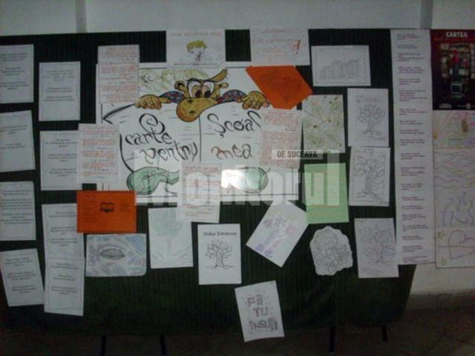 Activitățile literare s-au desfășurat la biblioteca Colegiului Național „Dragoș Vodă”