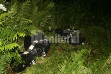 Țigările de contrabandă au fost confiscate